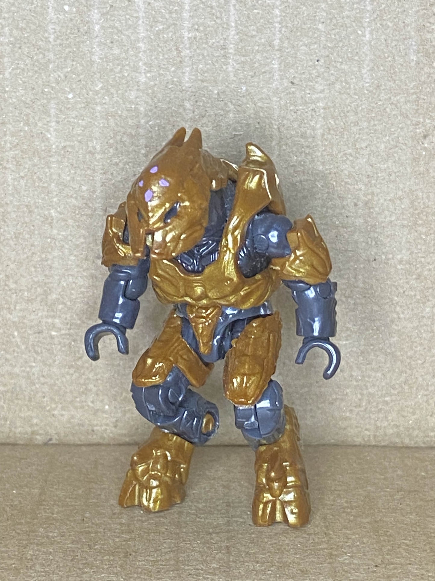 Elite Zealot (Brown)