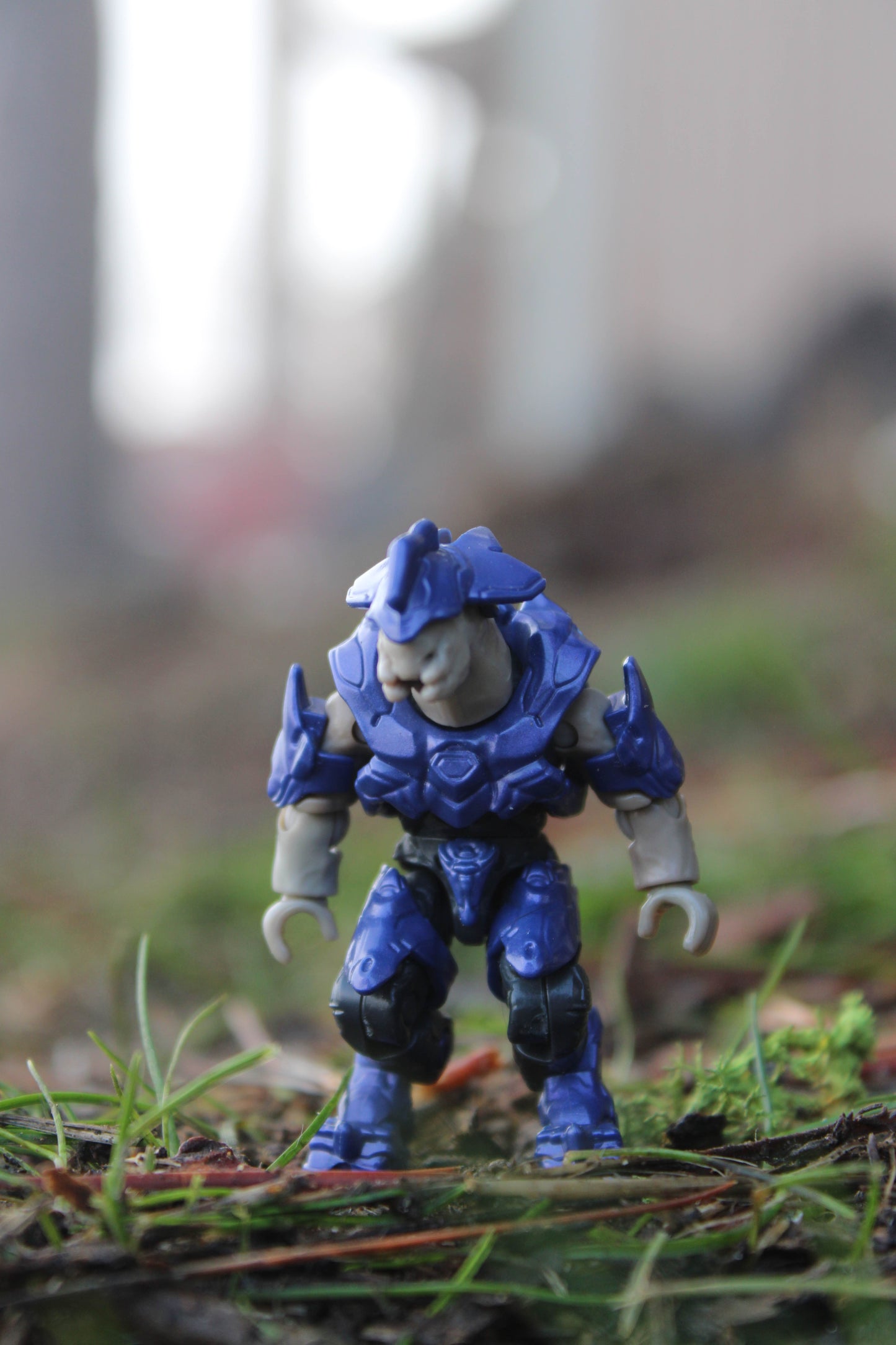 Elite Commander (Purple)