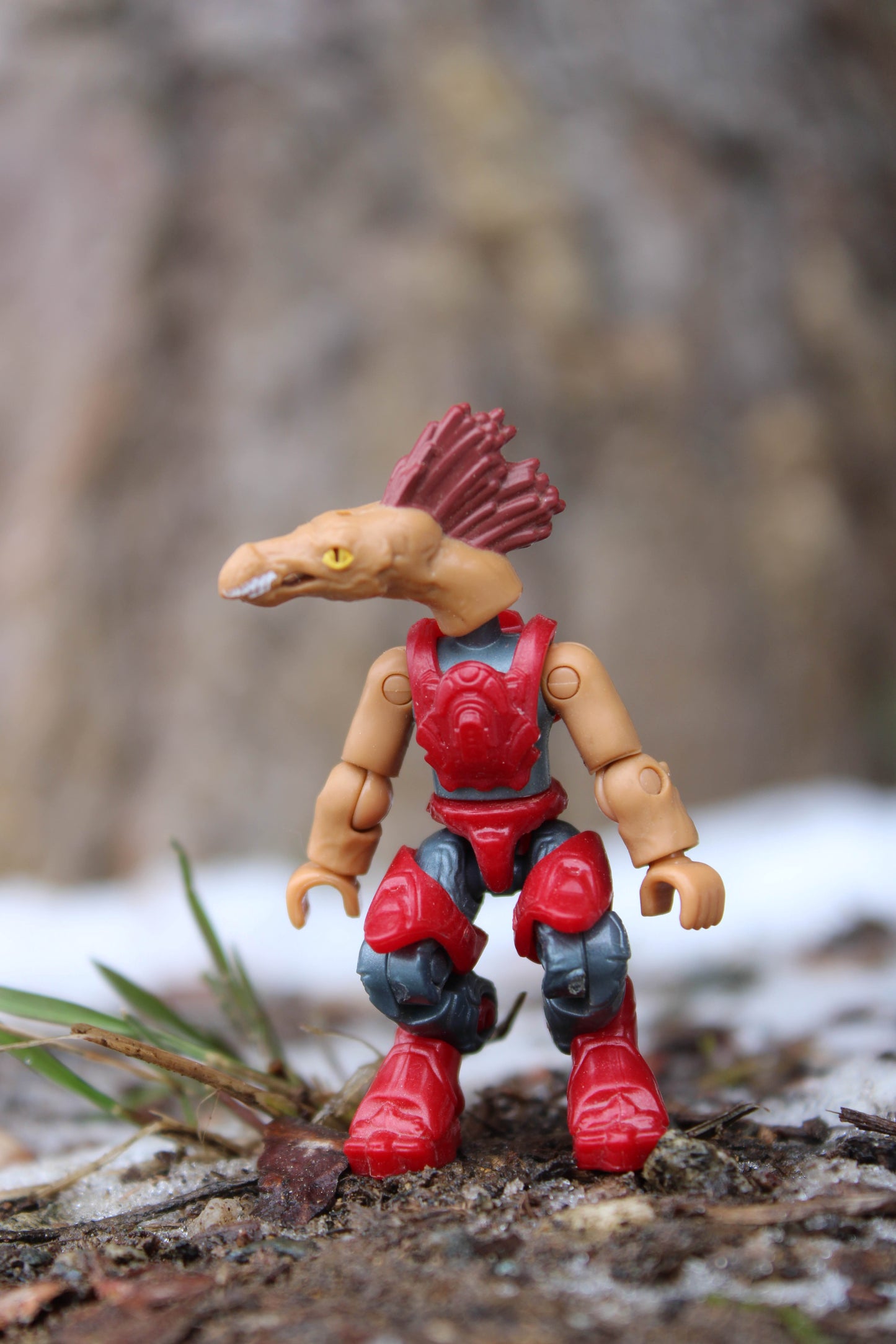 Jackal Freebooter (Red)