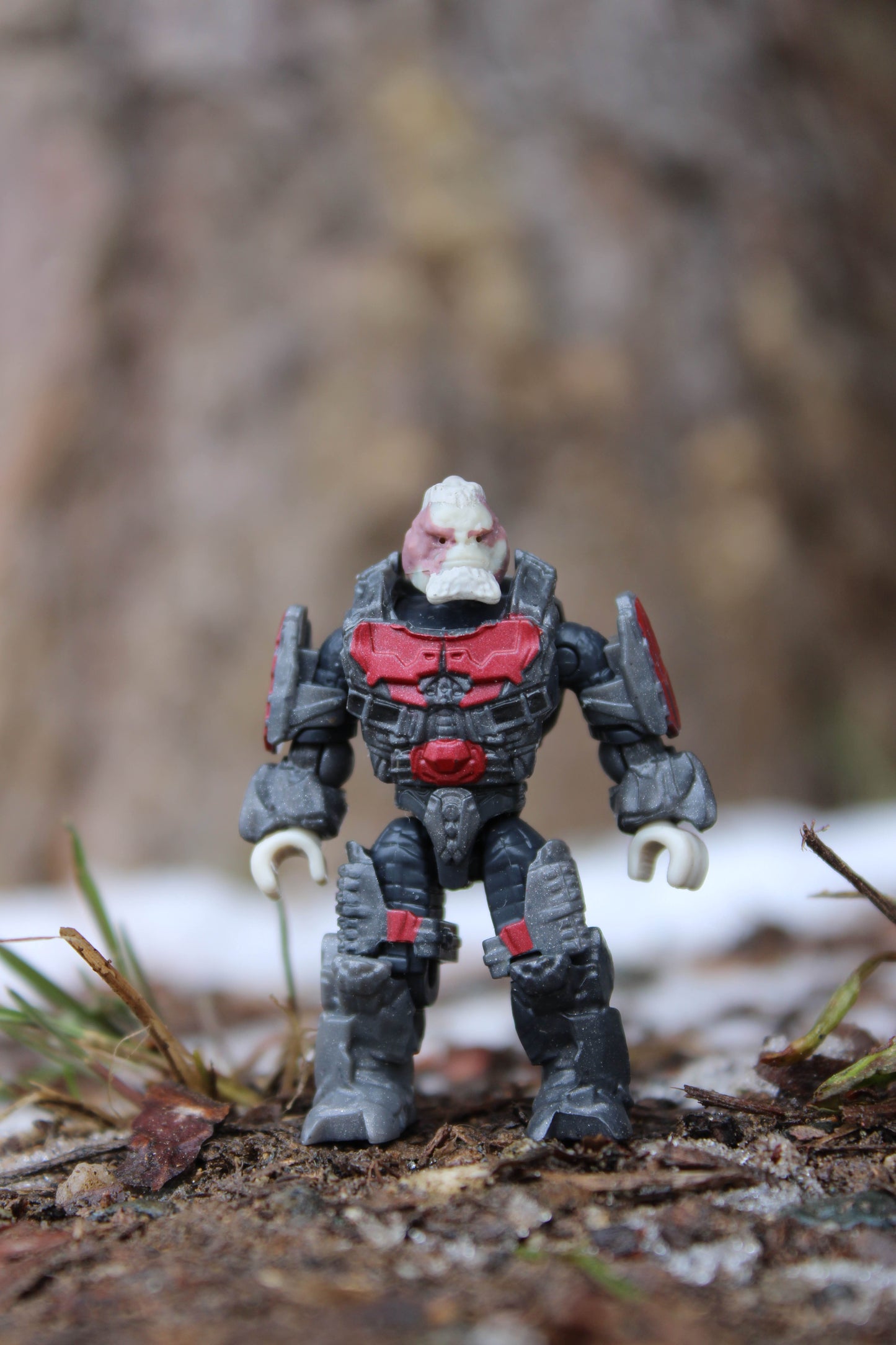 Decimus (HH15)