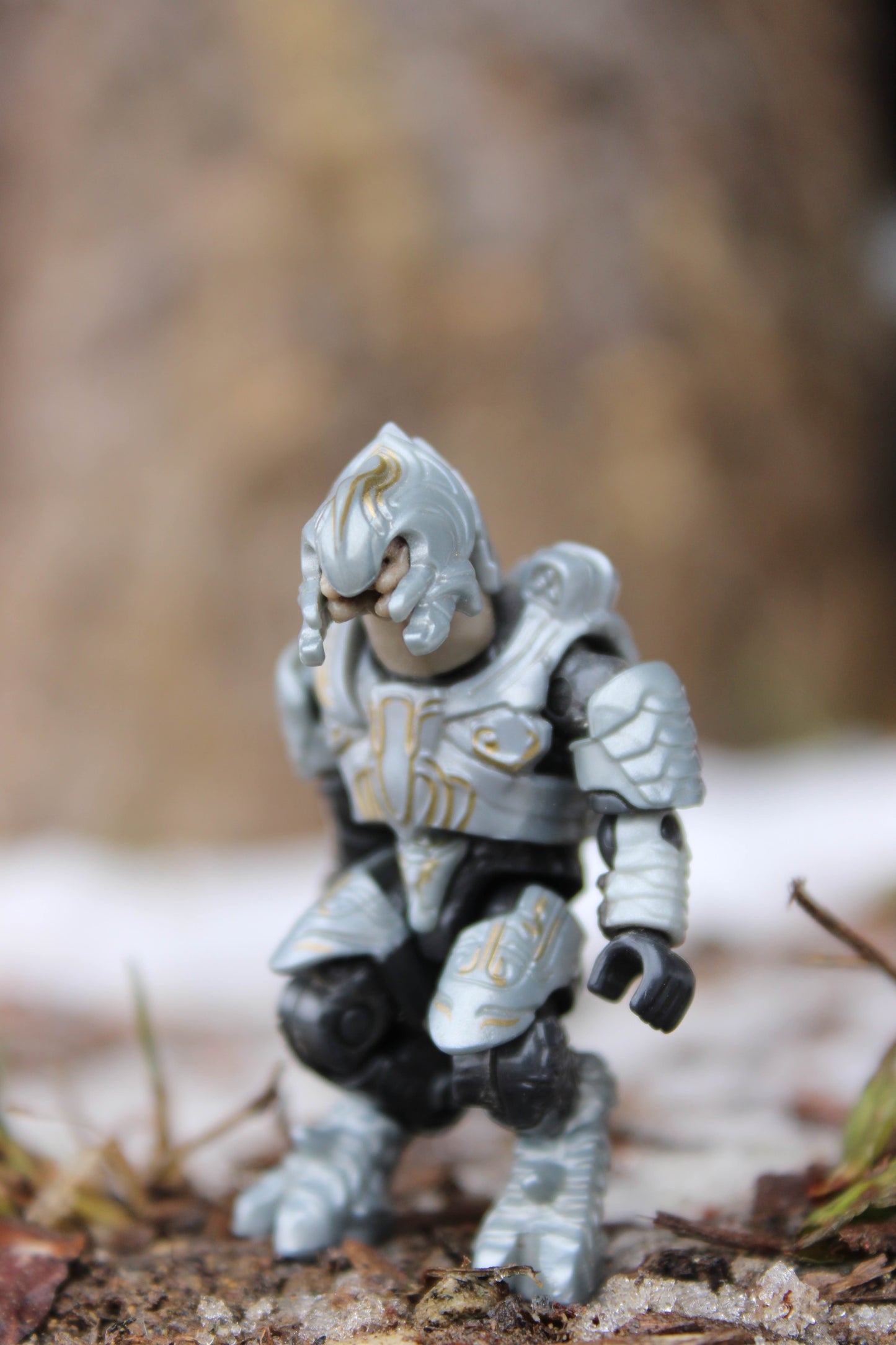 Ripa 'Moramee (HH11)