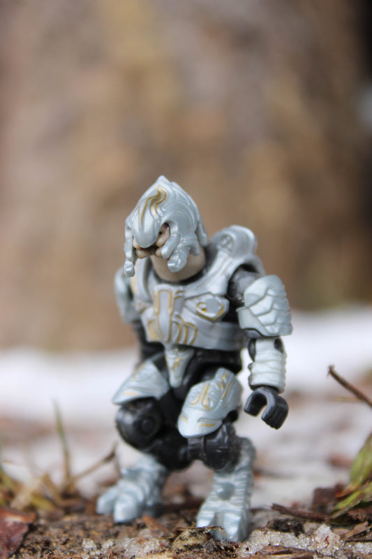 Ripa 'Moramee (HH11)