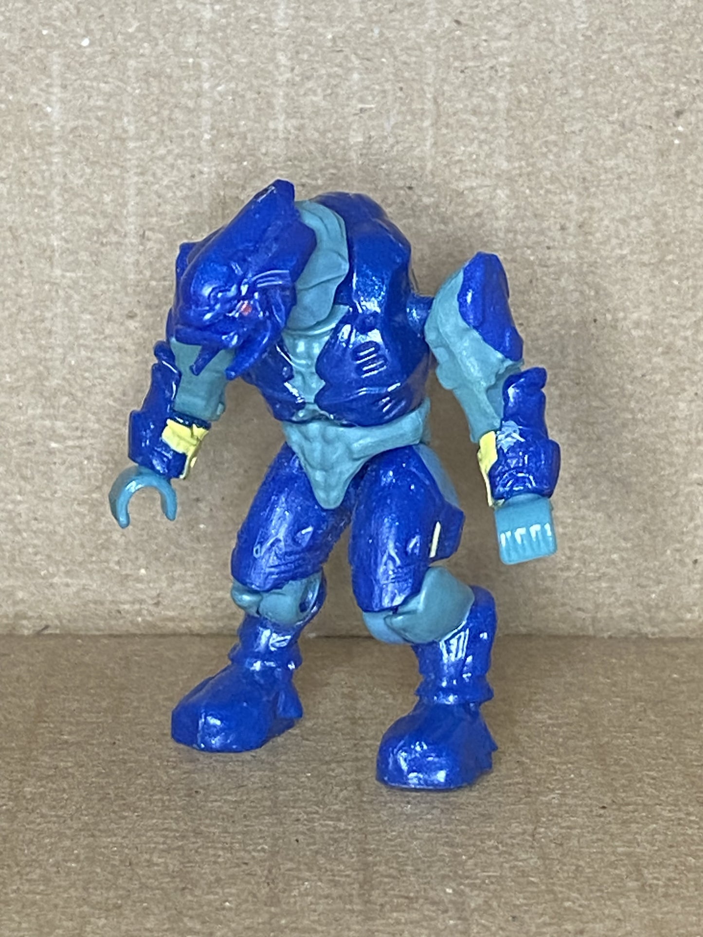 CE Elite (Blue/Gold)