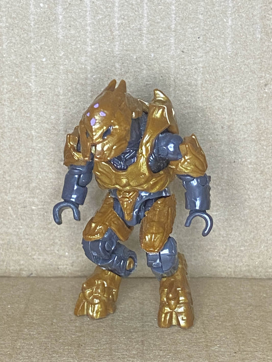 Elite Zealot (Brown)