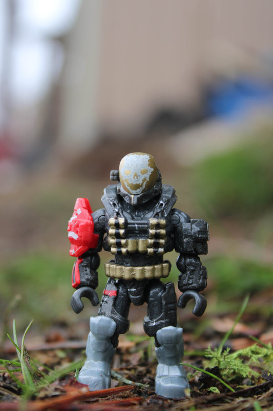 Emile-A239 (HH8)