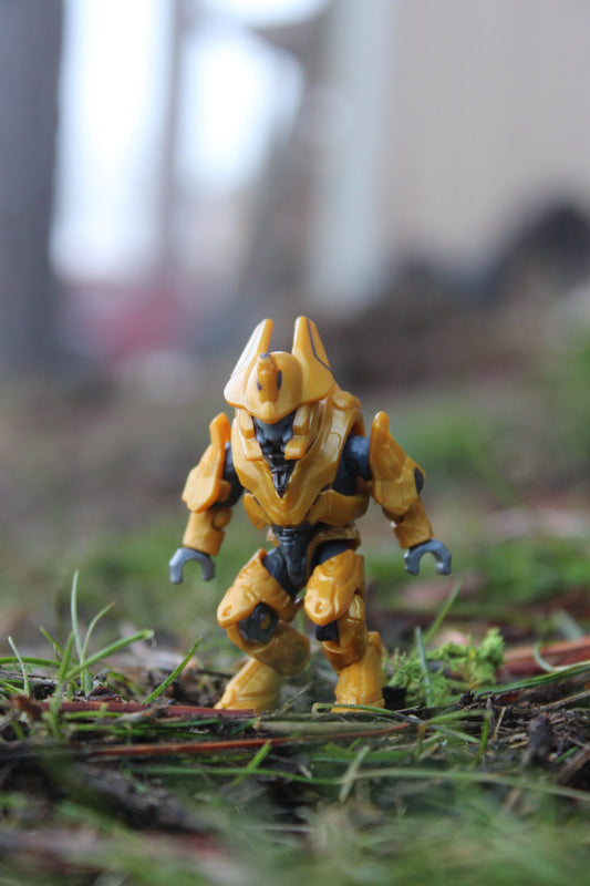 Elite Warlord