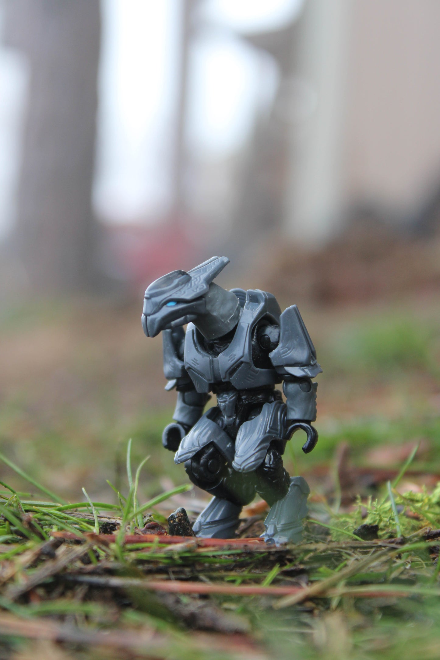 Elite Ultra (Dark Gray)
