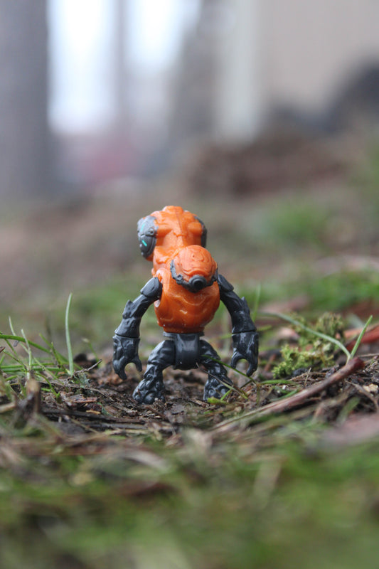 Grunt Imperial (Orange)