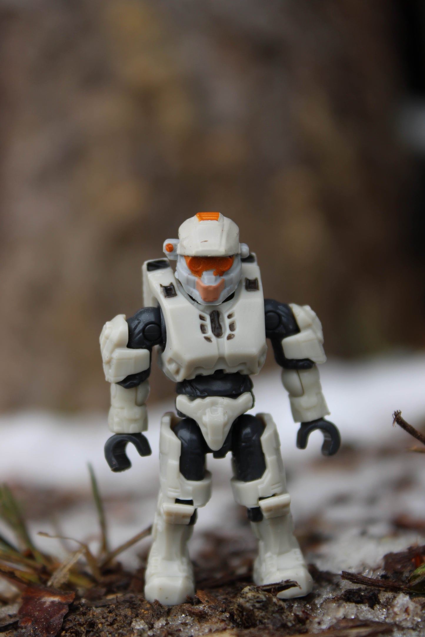 Spartan Linda (Series 15)