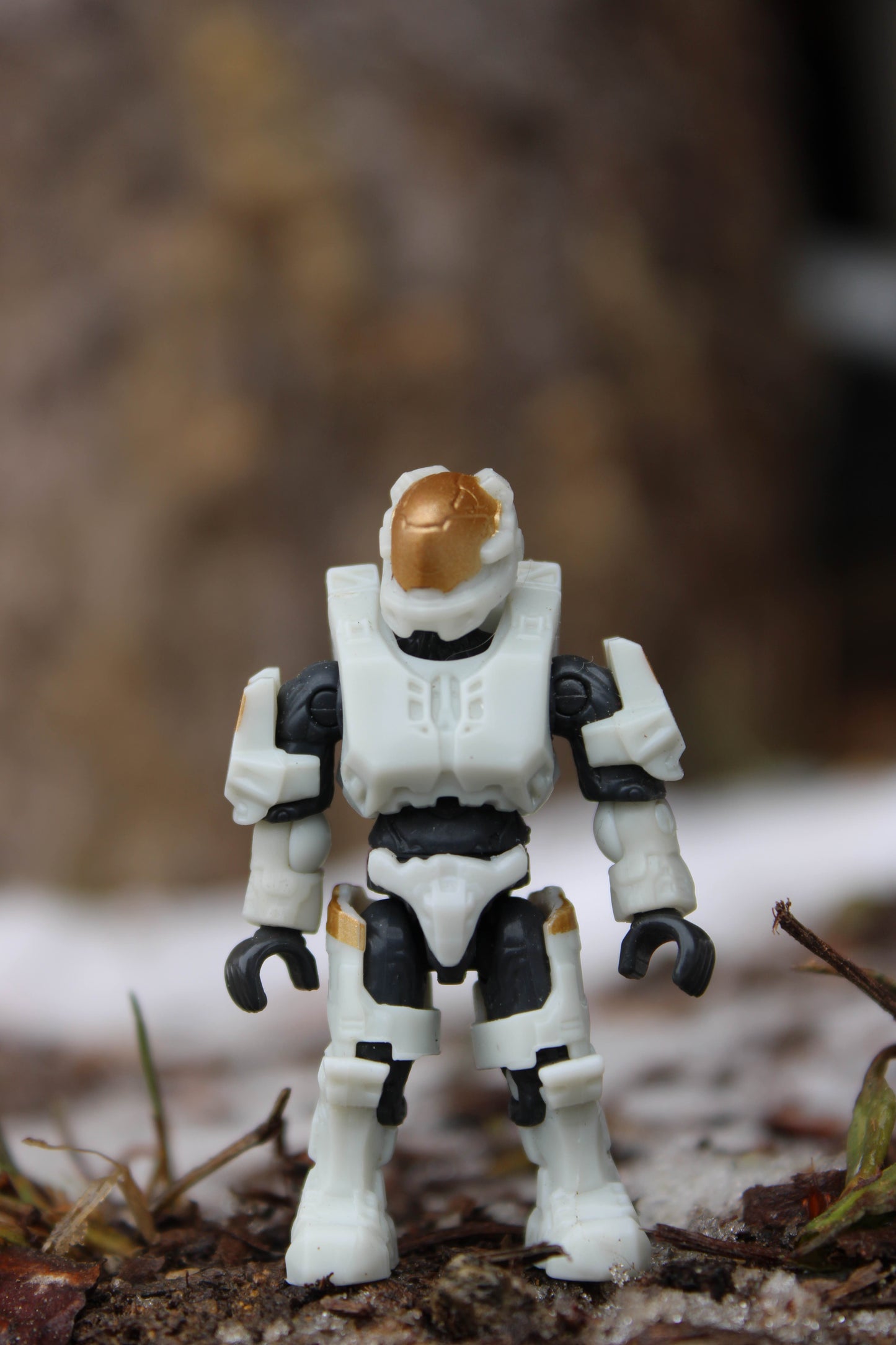 Spartan Kelly-087