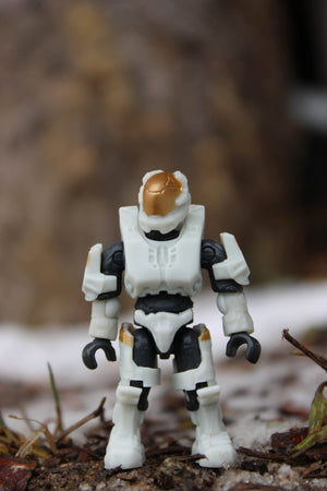 Spartan Kelly-087