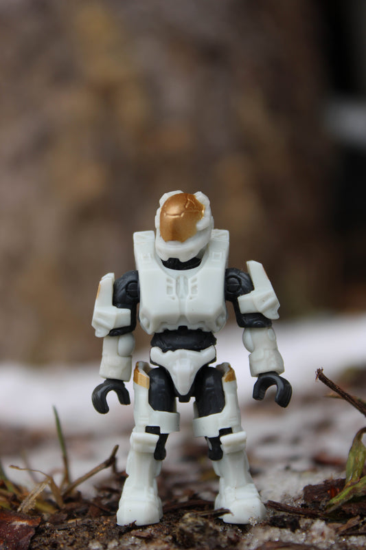 Spartan Kelly-087