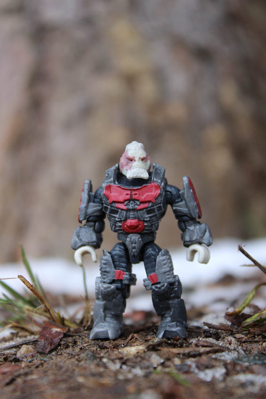 Decimus (HH15)
