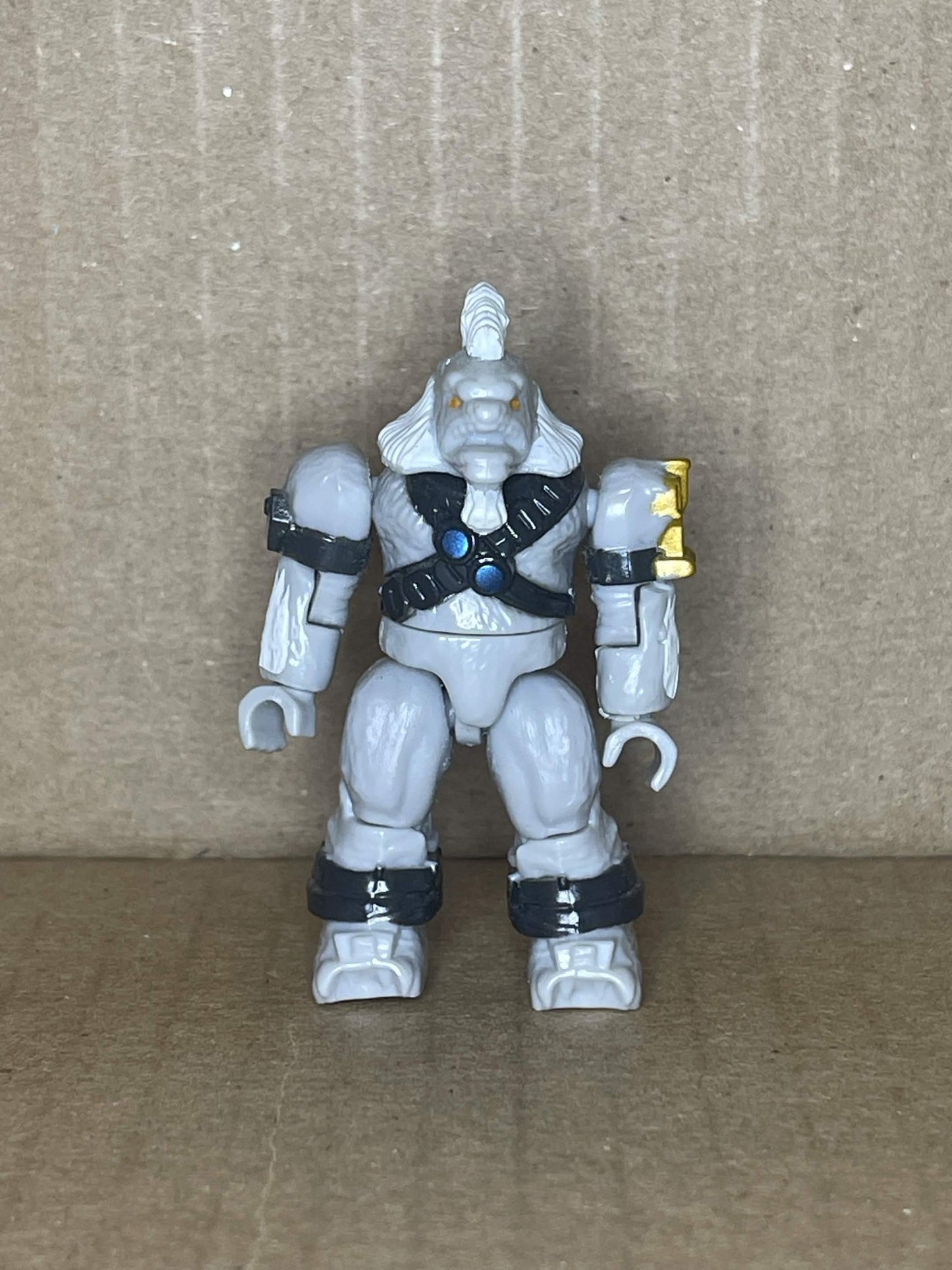 Tarturus