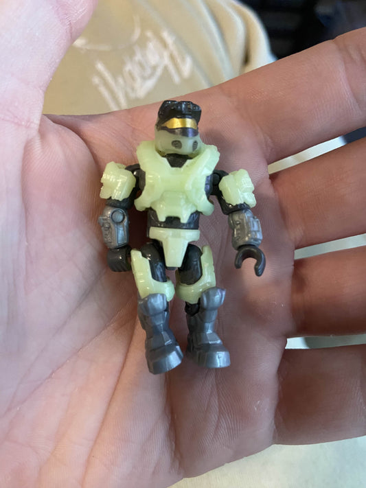 Held Lot for Gecko
