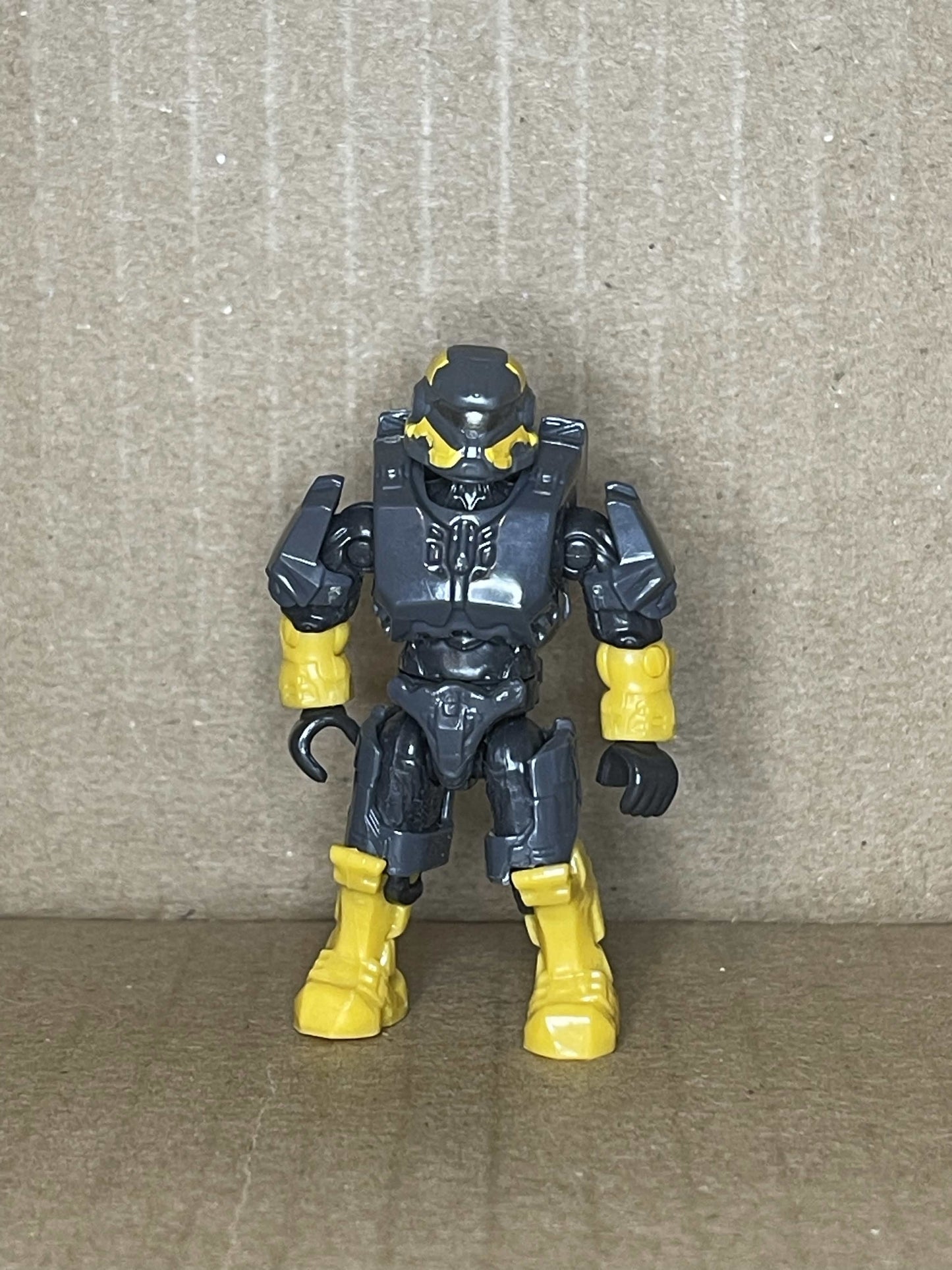 Spartan Anubis (Yellow/Grey)
