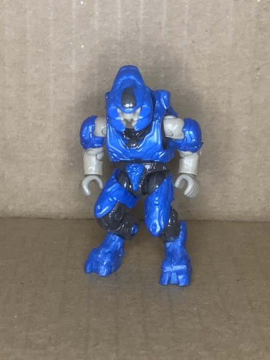 Elite Minor (Blue)
