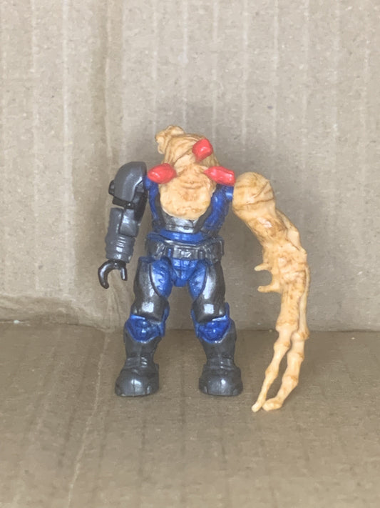 Marine Flood W/ Tan Head (Blue)