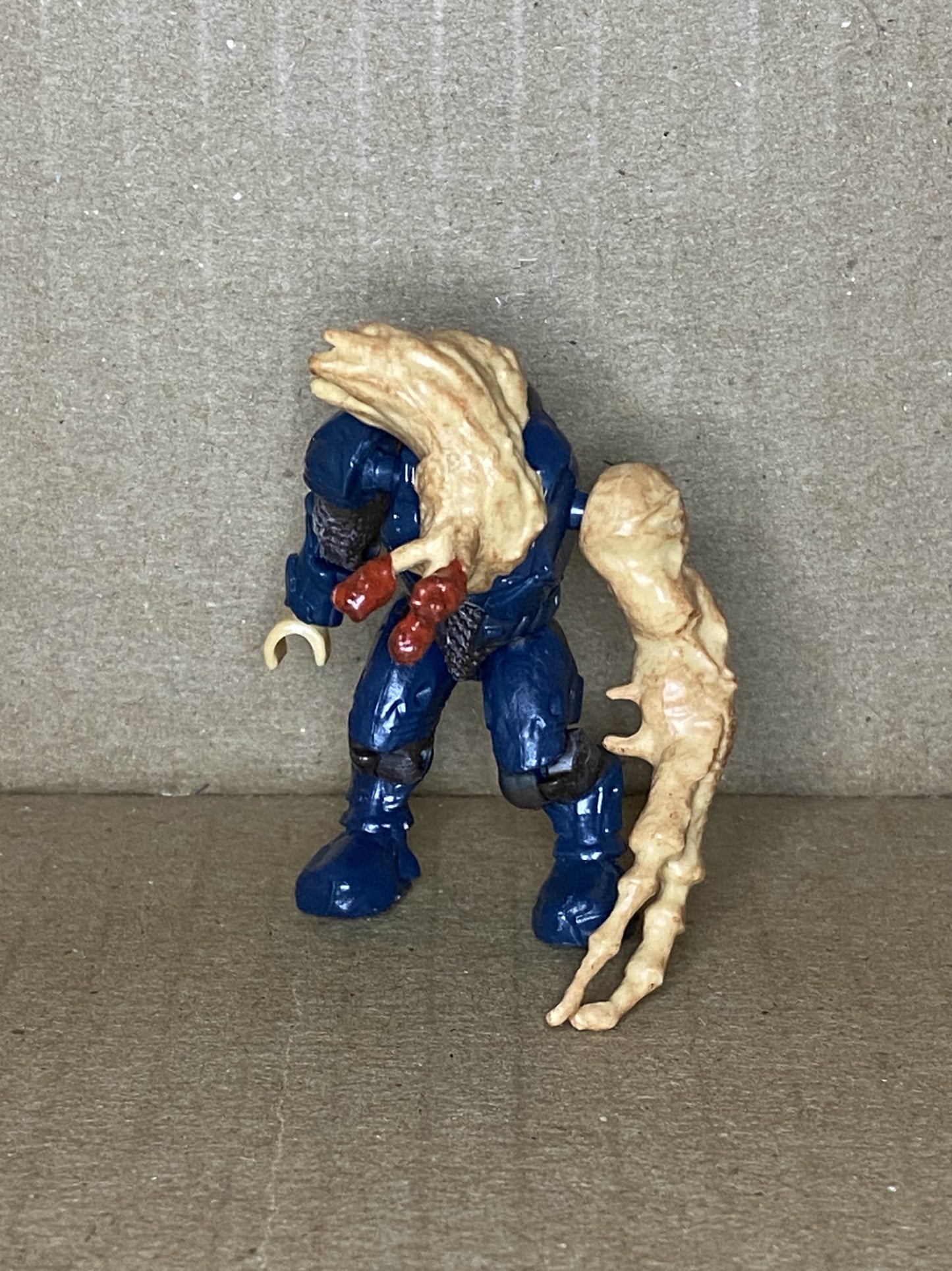 Elite Flood W/ Tan Head (Blue)