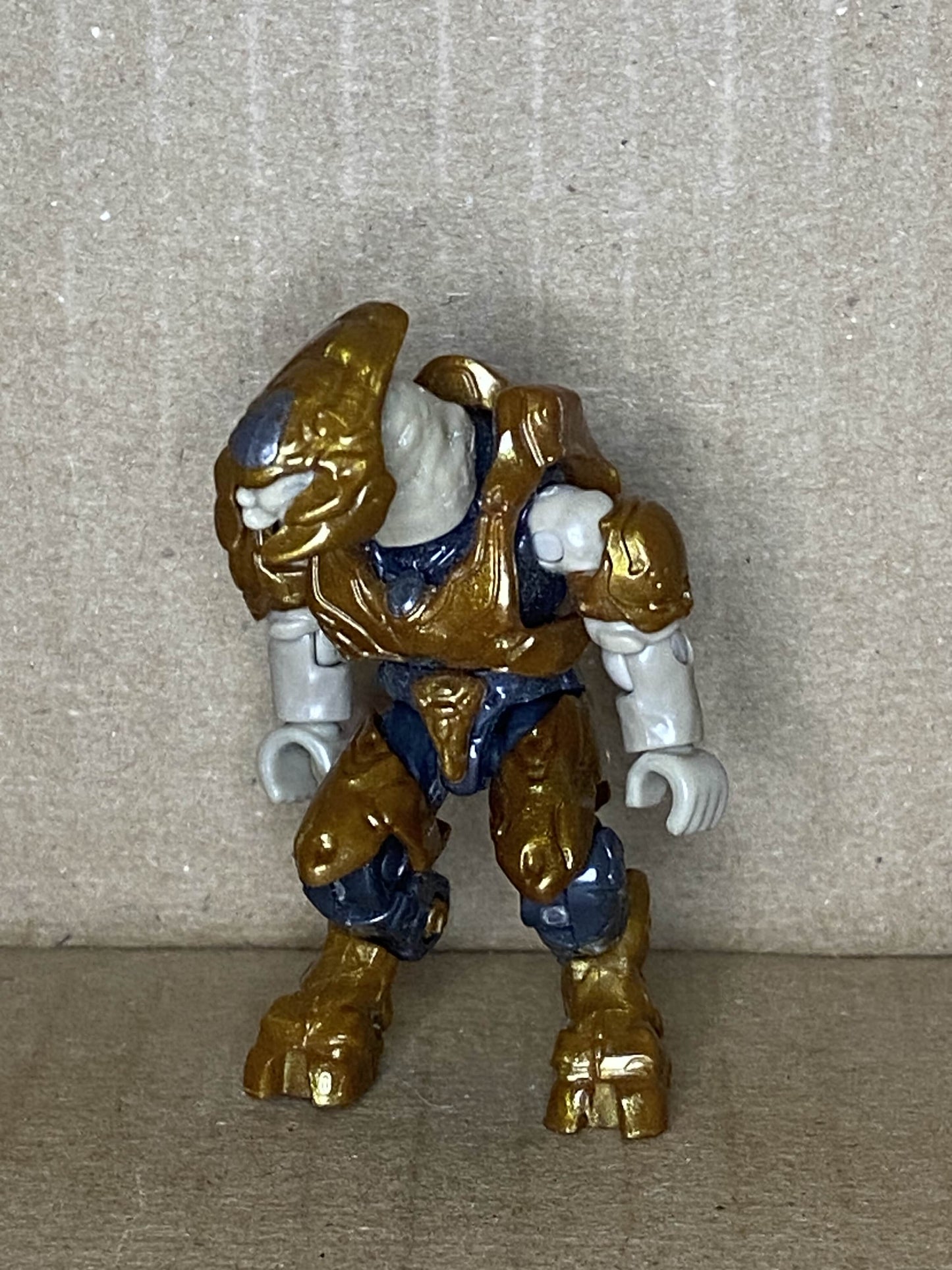 Elite Minor (Bronze)