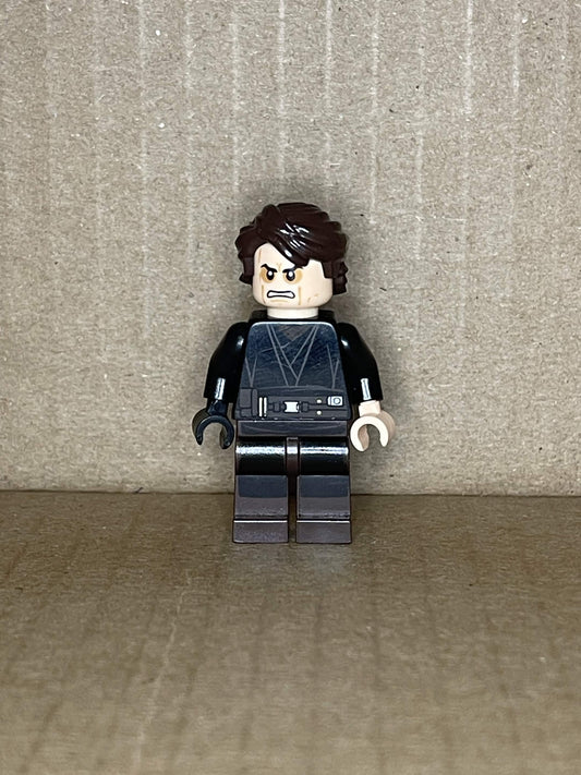 Anakin Skywalker (sw0361)