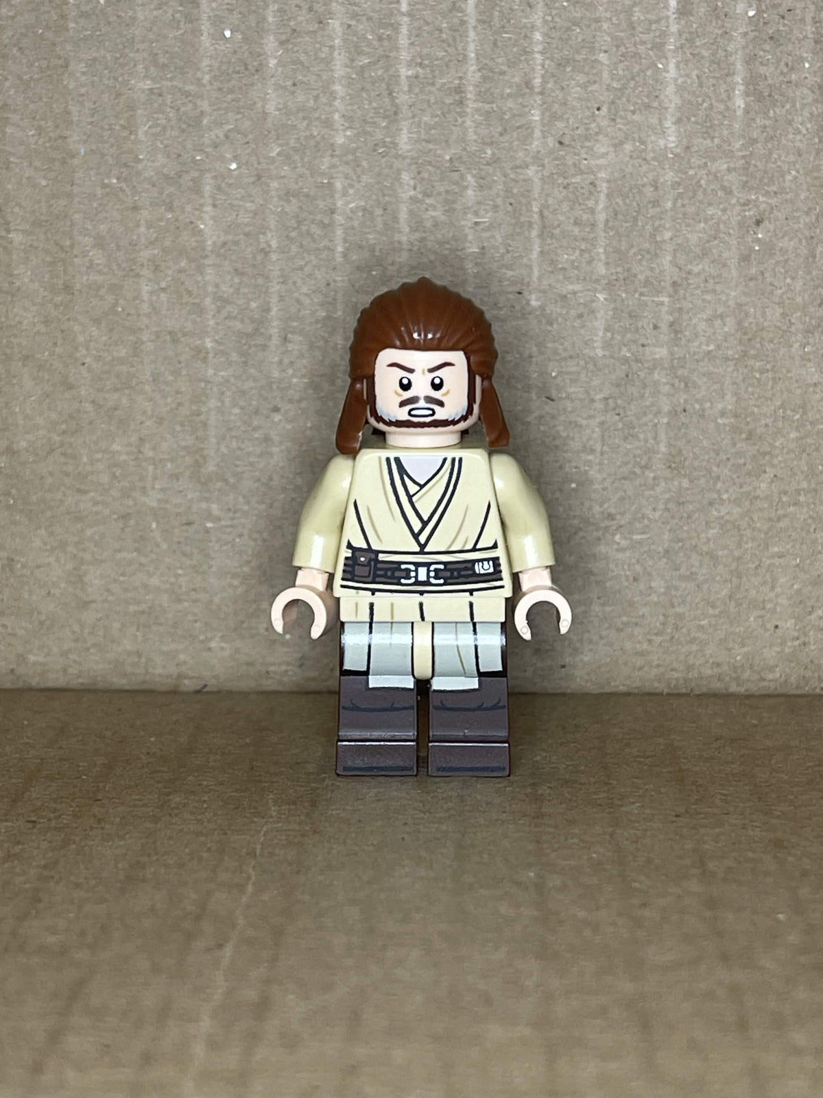 Qui-Gon Jinn (sw1404)