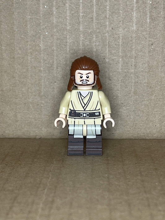 Qui-Gon Jinn (sw1404)